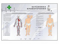 Электрифицированный стенд "Остановка кровотечения" - fgospostavki.ru - Барнаул