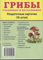 Раздаточные карточки "Грибы съедобные и не съедобные" - fgospostavki.ru - Барнаул