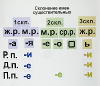 Набор магнитных карточек "Склонение имен существительных" - fgospostavki.ru - Барнаул