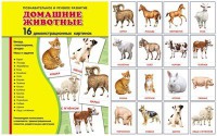 Демонстрационные карточки "Домашние животные" - fgospostavki.ru - Барнаул
