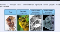 Интерактивные курсы. Биология 5 класс. Расширенный - fgospostavki.ru - Барнаул