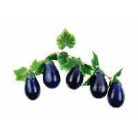 Ветка муляжей "Баклажаны" - fgospostavki.ru - Барнаул
