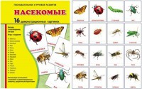 Демонстрационные карточки "Насекомые" - fgospostavki.ru - Барнаул