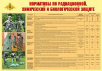 Плакат "Нормативы по радиационной, химической и биологической защите" - fgospostavki.ru - Барнаул