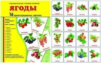 Демонстрационные карточки "Ягоды" - fgospostavki.ru - Барнаул
