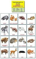 Раздаточные карточки "Дикие животные (1)" - fgospostavki.ru - Барнаул