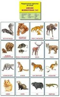 Раздаточные карточки "Дикие животные (2)" - fgospostavki.ru - Барнаул