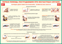 Таблица "Порядок действий при ранениях и термических ожогах" (100х140 сантиметров, винил) - fgospostavki.ru - Барнаул