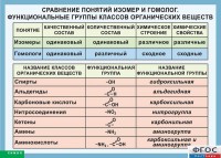 Таблица. Сравнение понятий изомер и гомолог. Функциональные группы классов органических веществ. - fgospostavki.ru - Барнаул