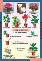 Комплект таблиц. Окружающий мир 1 класс. - fgospostavki.ru - Барнаул