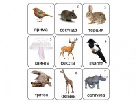 Набор магнитных карточек по музыке "Животные" (9 штук) - fgospostavki.ru - Барнаул