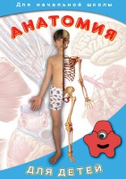 DVD "Анатомия для детей" - fgospostavki.ru - Барнаул