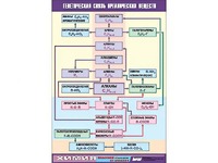 Таблица демонстрационная "Генетическая связь органических веществ" (винил 100x140) - fgospostavki.ru - Барнаул