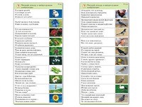Комплект карточек (10) "Обучающий калейдоскоп. Природа" - fgospostavki.ru - Барнаул
