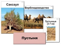Модель-аппликация "Природные зоны России" (ламинированная) - fgospostavki.ru - Барнаул