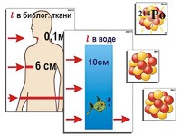 Модель-аппликация "Явление радиоактивности" (ламинированная) - fgospostavki.ru - Барнаул