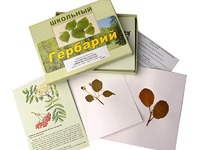 Гербарий "Систематика растений. Семейство Розоцветные" (раздаточный) - fgospostavki.ru - Барнаул