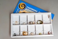 Коллекция "Раковины моллюсков" - fgospostavki.ru - Барнаул