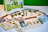 Гербарий к курсу основ общей биологии - fgospostavki.ru - Барнаул