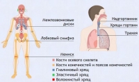 Интерактивные курсы. Биология 9 класс. Базовый. - fgospostavki.ru - Барнаул