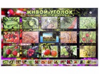Комплект оборудования "Живой уголок" (растения) с тифлопереводом и сурдокомментариями - fgospostavki.ru - Барнаул