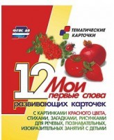 Тематические карточки "Мои первые слова" (красный цвет) - fgospostavki.ru - Барнаул