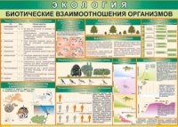 Таблица "Биотические взаимоотношения организмов" (100х140 сантиметров, винил) - fgospostavki.ru - Барнаул