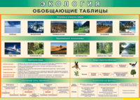 Таблица "Экология. Обобщающие таблицы" (100х140 сантиметров, винил) - fgospostavki.ru - Барнаул