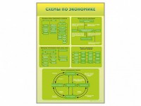 Стенды "Схемы по экономике" - fgospostavki.ru - Барнаул