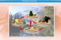 Интерактивные курсы. Биология 7 класс. Базовый. - fgospostavki.ru - Барнаул