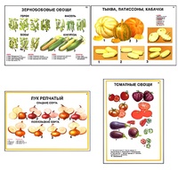 Плакаты ПРОФТЕХ "Ассортимент овощных культур" (12 пл, винил, 70х100) - fgospostavki.ru - Барнаул
