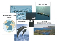 Модель-аппликация "Океаны. Знакомство" (ламинированная) - fgospostavki.ru - Барнаул