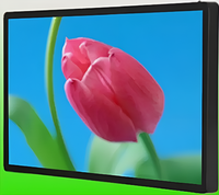 Киоск информационный настенный сенсорный 27" (вариант 2) - fgospostavki.ru - Барнаул