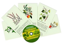 Интерактивный наглядный комплекс "Гербарий "Для начальной школы" - fgospostavki.ru - Барнаул