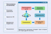 Интерактивные курсы. Информатика 10 класс . Базовый. - fgospostavki.ru - Барнаул