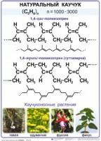 Комплект демонстрационных таблиц по химии "Полимеры" (комплект 12 таблиц) - fgospostavki.ru - Барнаул