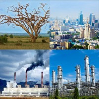 Модель-аппликация Биосфера и человек - fgospostavki.ru - Барнаул