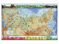 Электронно-информационный (маркерный) стенд "Природа России" - fgospostavki.ru - Барнаул