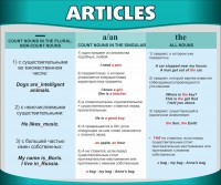 Стенд "Артикли" - fgospostavki.ru - Барнаул