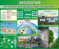 Стенд "Экология. Антропогенное воздействие на биосферу" - fgospostavki.ru - Барнаул