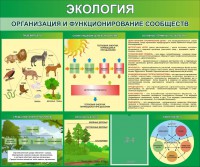 Стенд "Экология. Организация и функционирование сообществ" - fgospostavki.ru - Барнаул