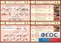 Стенд "Вязание крючком" - fgospostavki.ru - Барнаул