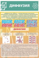 Стенд "Диффузия" - fgospostavki.ru - Барнаул