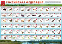 Стенд "Красная книга РФ" - fgospostavki.ru - Барнаул