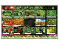 Комплект оборудования "Живой уголок" (растения) - fgospostavki.ru - Барнаул