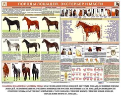 Комплект плакатов "Служебное коневодство" - fgospostavki.ru - Барнаул