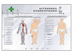 Электрифицированный стенд "Остановка кровотечения" - fgospostavki.ru - Барнаул