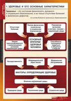 Комплект таблиц. ОБЖ. Здоровый образ жизни. - fgospostavki.ru - Барнаул