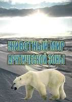 DVD "Животный мир Арктической зоны" - fgospostavki.ru - Барнаул