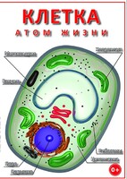 DVD "Клетка - "атом жизни" - fgospostavki.ru - Барнаул